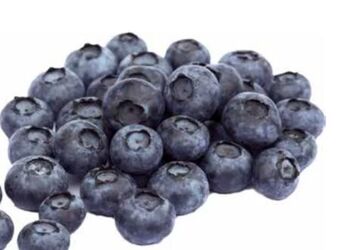 Transgourmet Heidelbeeren Angebot