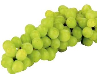 Transgourmet Trauben Angebot