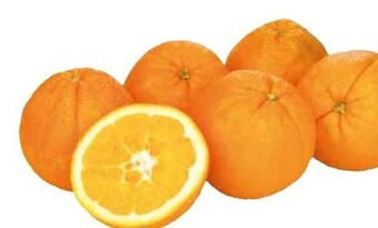 Transgourmet Orangen Angebot