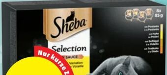 PENNY Selection Angebot