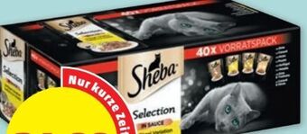 PENNY Selection Angebot