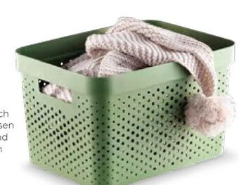 Interspar Aufbewahrungsbox infinity Angebot
