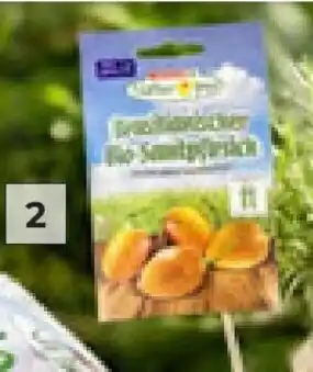 Interspar 1. SPAR Natur*pur Bio-Saatgut Angebot