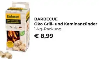 Interspar BARBECUE Öko Grill- und Kaminanzünder 1-kg-Packung Angebot