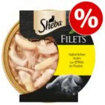 16 x 60 g sheba feine filets zum sonderpreis!