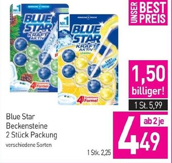 Sutterlüty Blue Star Beckensteine 2 Stück Packung Angebot