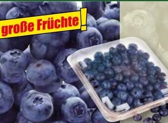 Norma Premium heidelbeeren Angebot