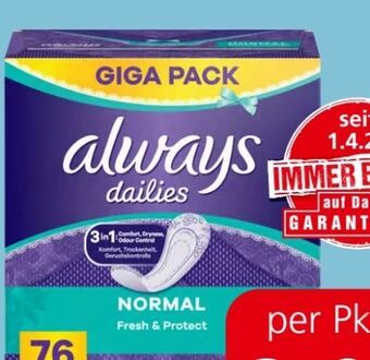Spar Slipeinlagen Angebot
