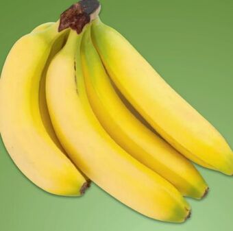 Metro Bio-bananen Angebot