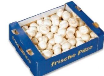 Metro Champignons Angebot