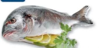 Metro Goldbrasse Angebot