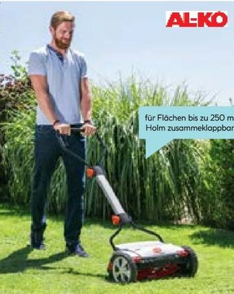 Hellweg Spindelmäher razor cut 38.1 hm premium Angebot