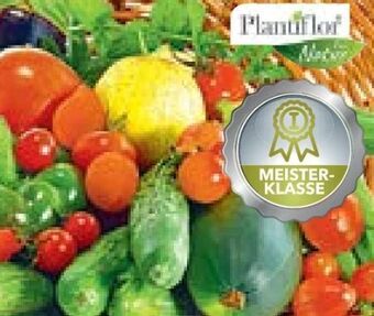 Hellweg Gemüsepflanzen meisterklasse Angebot