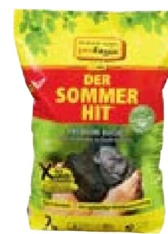 Hellweg Grill-holzkohle der sommer hit Angebot