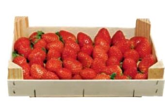Metro Erdbeeren Angebot