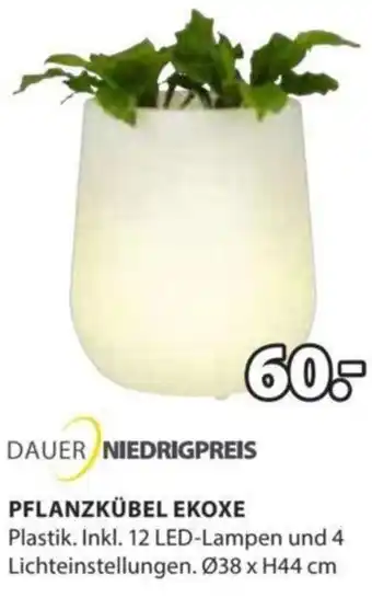 JYSK DAUER NIEDRIGPREIS PFLANZKÜBEL EKOXE Plastik. Inkl. 12 LED-Lampen und 4 Lichteinstellungen. Ø38 x H44 cm Angebot