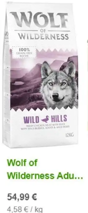 Wolf of Wilderness Adult. Wild Hills