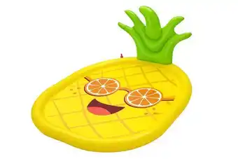 Pagro Diskont Splash pad ananas gelb Angebot