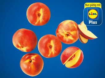 Lidl Nektarinen Angebot