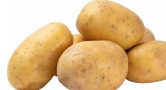 Transgourmet Ofenkartoffel Angebot