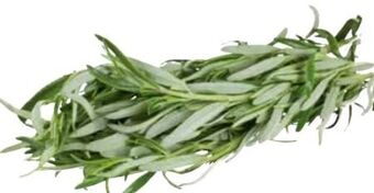 Transgourmet Rosmarin Angebot