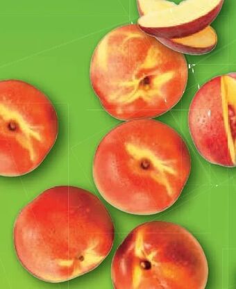 Lidl Nektarinen Angebot