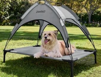 Lidl Hundebett Angebot