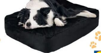 Lidl Hundebett Angebot