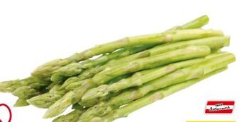 Transgourmet Spargel Angebot