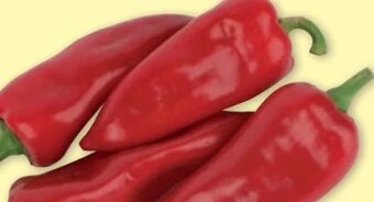 PENNY Spitzpaprika Angebot