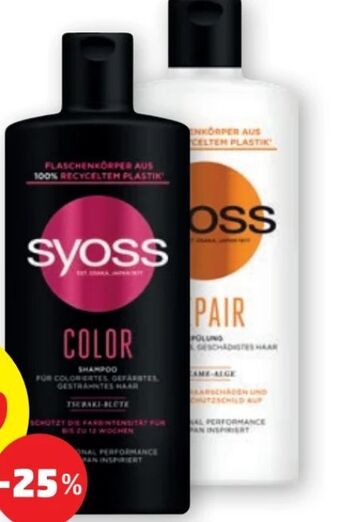 PENNY Shampoo Angebot