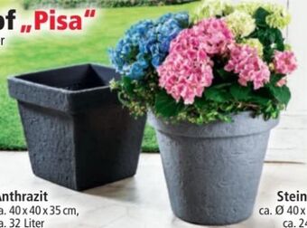 Norma Pflanztopf pisa Angebot