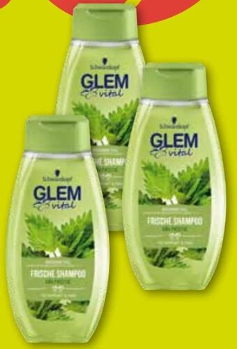 ADEG Glem vital shampoo Angebot