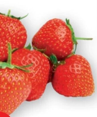PENNY Erdbeeren Angebot
