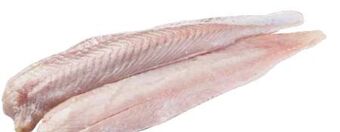 Transgourmet Seelachsfilet Angebot