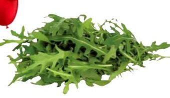 Transgourmet Rucola Angebot