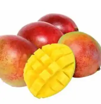 Transgourmet Essreife mango Angebot