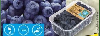 Norma Heidelbeeren Angebot
