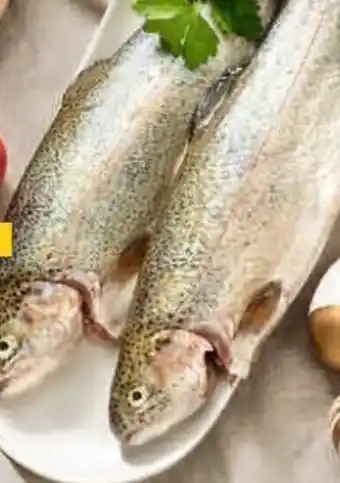 Billa Forelle 2er ASC 100g Angebot