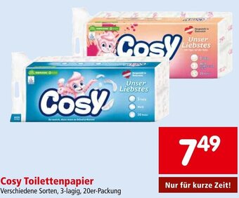 Interspar Cosy Toilettenpapier Angebot