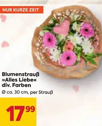 Billa Blumenstrauß >>Alles Liebe«<< div. Farben Ø ca. 30 cm, per Strauß Angebot