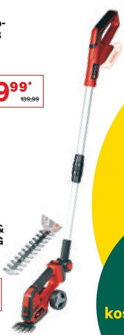 Lagerhaus EINHELL Akkugras- & Strauchschere GE-CG 18/100 Li T-Solo Angebot