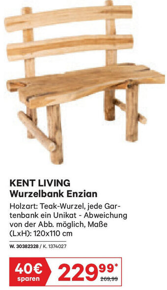 Lagerhaus KENT LIVING Wurzelbank Enzian Angebot