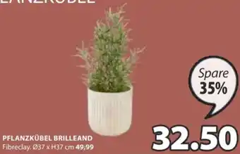 JYSK PFLANZKÜBEL BRILLEAND Fibreclay. Ø37 x H37 cm 49,99 Angebot
