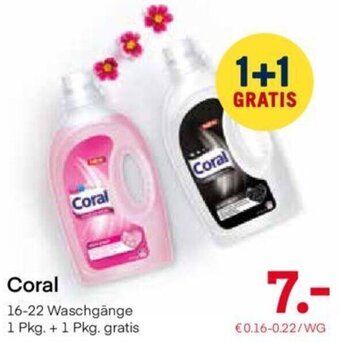 MPreis Coral Angebot