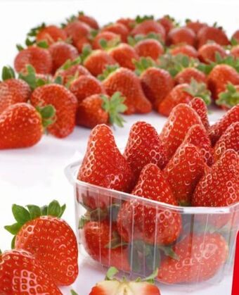 Spar Erdbeeren Angebot
