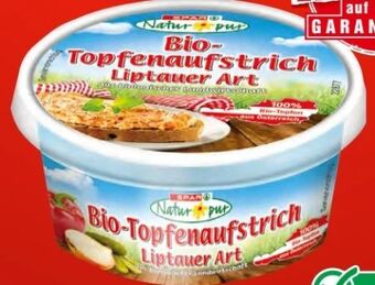 Spar Bio topfenaufstrich Angebot