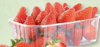 SPAR Gourmet Erdbeeren Angebot