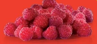 Hofer Himbeeren Angebot