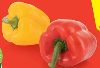 Hofer Paprika Angebot